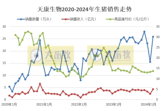 大北农、唐人神和天康2024年3月及1季度生猪销售情况