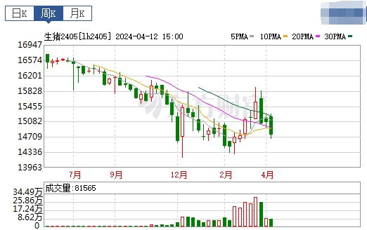 2024.04.14今日猪价——稳中有涨，上涨省份有少许增多