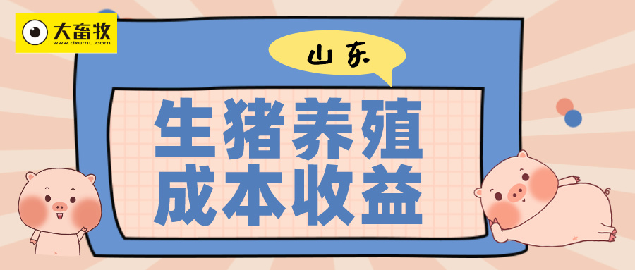 外购仔猪育肥头均盈利152元，远高于自繁自育——山东省2024年1季度生猪养殖成本收益情况