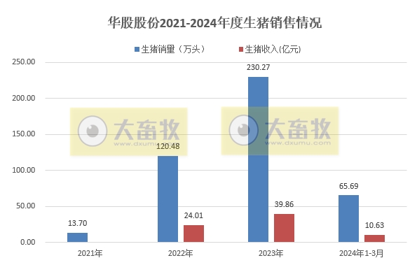 华统和罗牛山2024年3月及1季度生猪销售情况