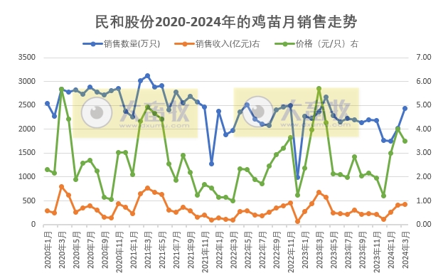 益生、民和和晓鸣2024年3月及1季度鸡苗销售情况