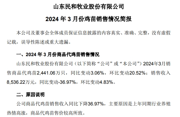 益生、民和和晓鸣2024年3月及1季度鸡苗销售情况