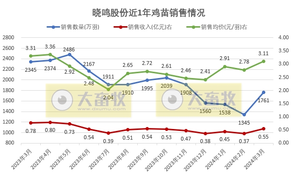 益生、民和和晓鸣2024年3月及1季度鸡苗销售情况