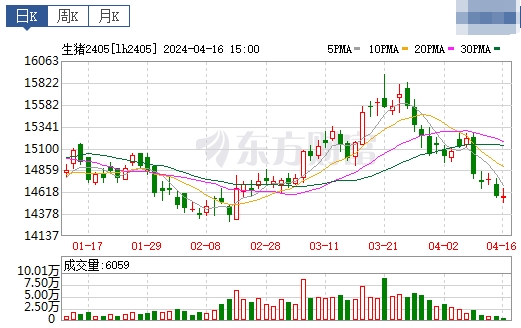 2024.04.17今日猪价——华北东北全面下跌