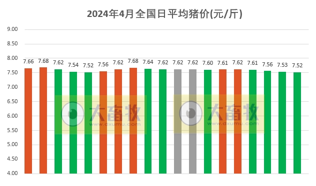 2024.04.19今日猪价——连跌4天,但跌幅收窄,大多数以稳为主