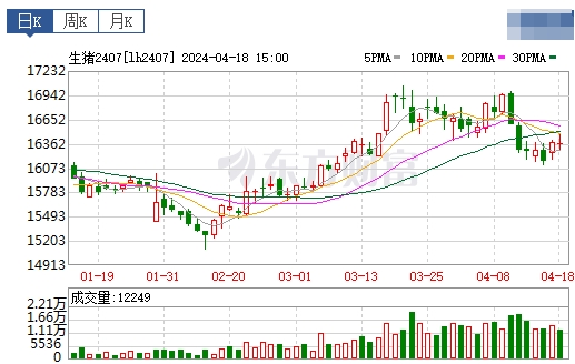 2024.04.19今日猪价——连跌4天,但跌幅收窄,大多数以稳为主