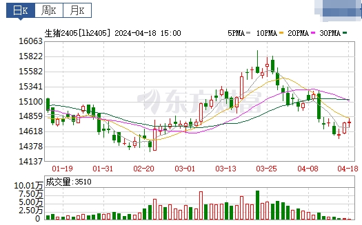 2024.04.19今日猪价——连跌4天,但跌幅收窄,大多数以稳为主