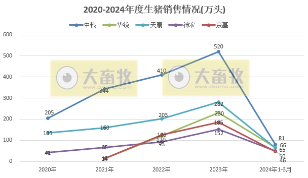 18家上市猪企2024年3月及1季度生猪销售业绩和生产指标PK