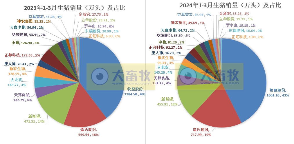 18家上市猪企2024年3月及1季度生猪销售业绩和生产指标PK