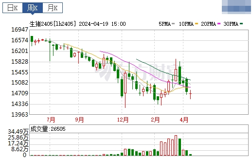 2024.04.21今日猪价——华北东北出现全面上涨