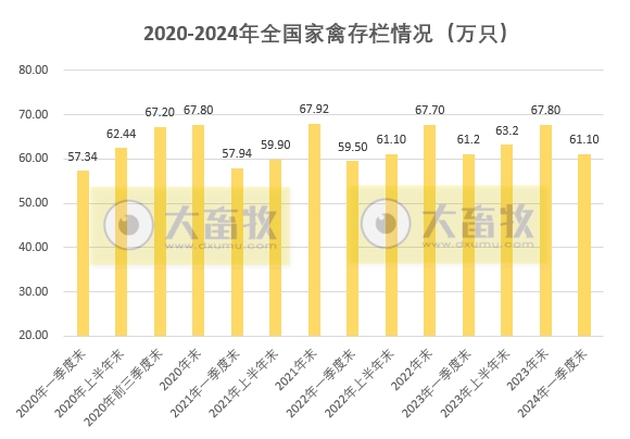 2024年一季度全国畜牧业数据