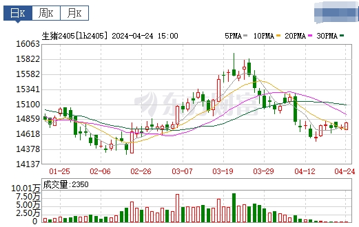 2024.04.25今日猪价——大多数仍以稳为主，涨跌省份均有少许增加
