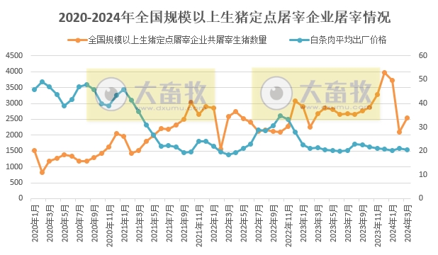 2024年3月及1季度全国规模以上生猪定点屠宰企业屠宰情况