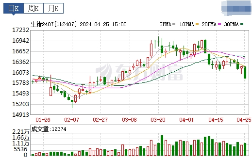 2024.04.26今日猪价——稳中下跌