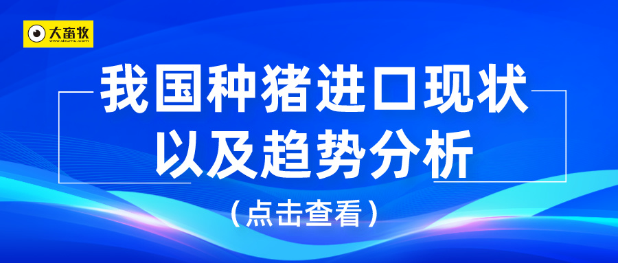 我国种猪进口现状以及趋势分析