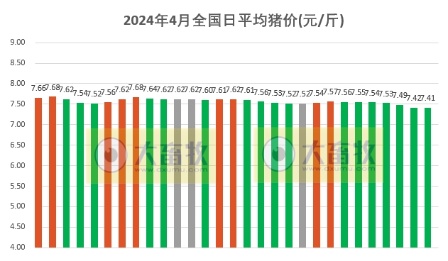 2024.04.29今日猪价——大多数以稳为主