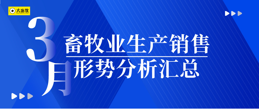 【畜牧业月报】2025年3月畜牧业生产销售形势分析汇总