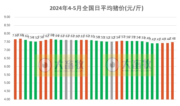 2024.05.02今日猪价——大多数省份出现上涨