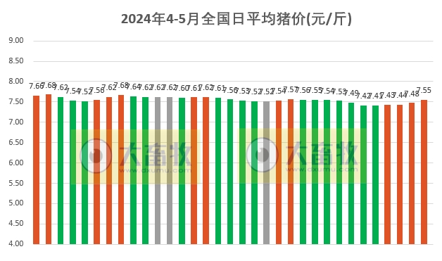 2024.05.03今日猪价——连涨4天，终于一路飘红