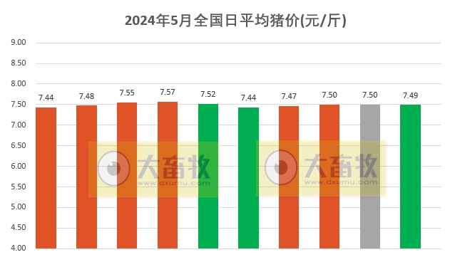 2024.05.10今日猪价
