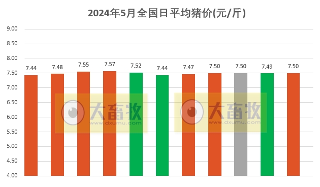 2024.05.11今日猪价