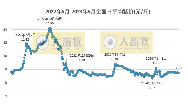 2024.05.11今日猪价