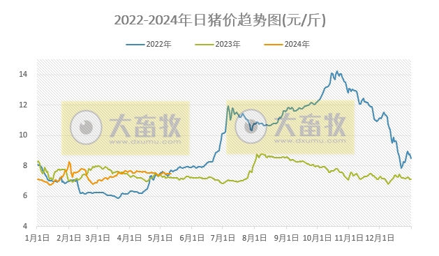 2024.05.11今日猪价