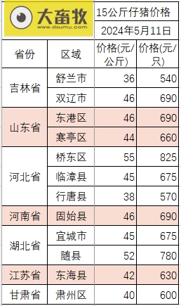 2024.05.11今日猪价