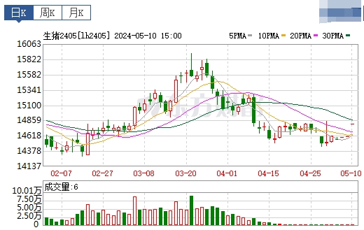2024.05.11今日猪价