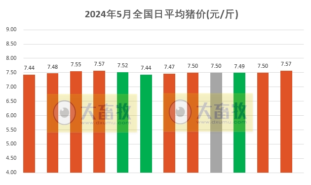 2024.05.12今日猪价——大部分上涨