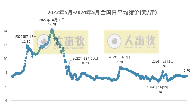 2024.05.13今日猪价