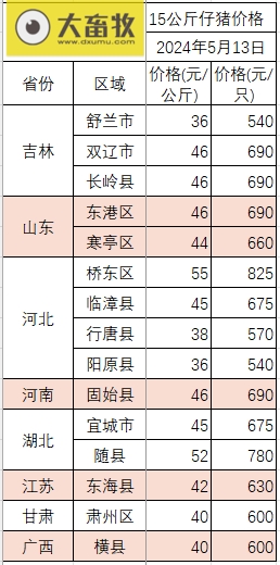 2024.05.13今日猪价