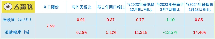 2024.05.13今日猪价