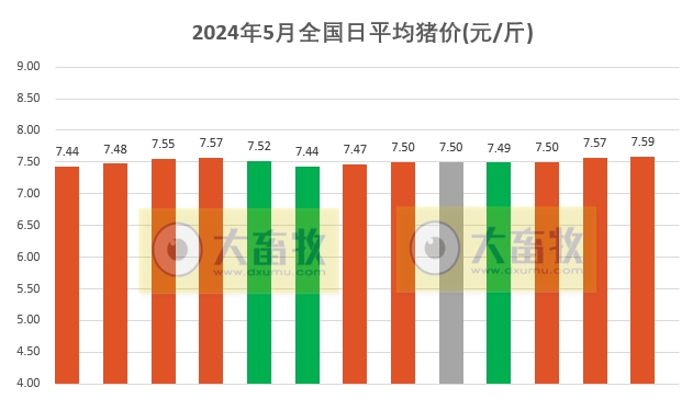 2024.05.13今日猪价