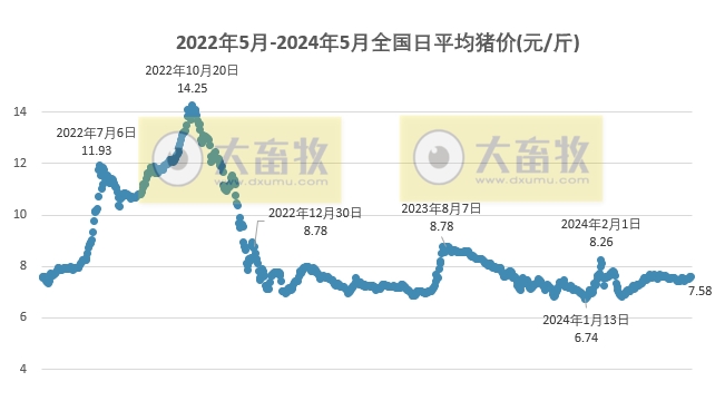 2024.05.14今日猪价