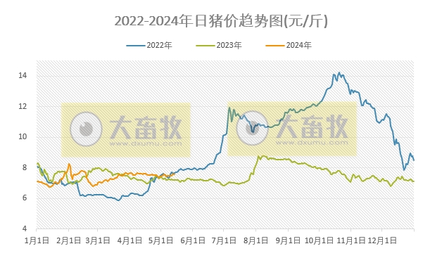 2024.05.14今日猪价