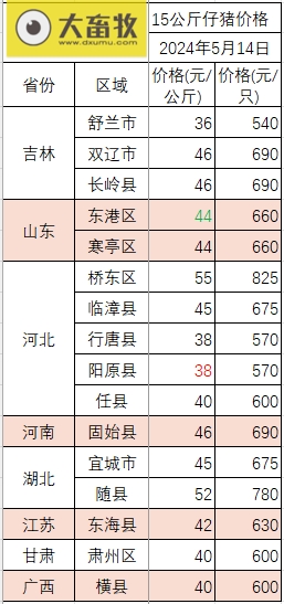 2024.05.14今日猪价