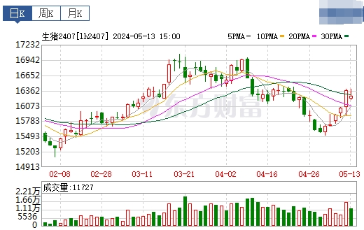 2024.05.14今日猪价