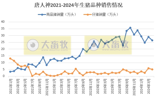 唐人神、中粮、天康、正邦和傲农2024年4月生猪销售情况
