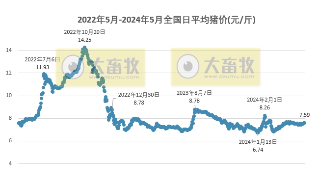 2024.05.15今日猪价
