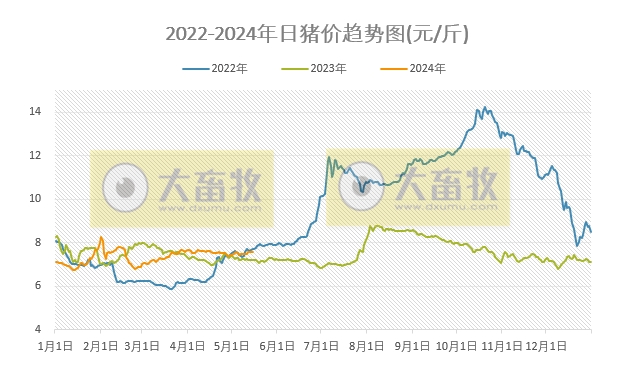2024.05.15今日猪价