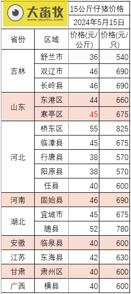 2024.05.15今日猪价