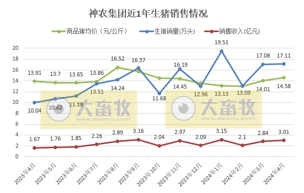 京基、神农和金新农2024年4月生猪销售情况