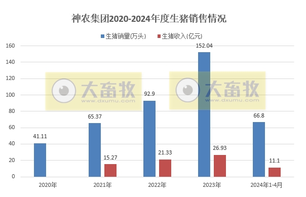 京基、神农和金新农2024年4月生猪销售情况