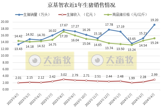 京基、神农和金新农2024年4月生猪销售情况