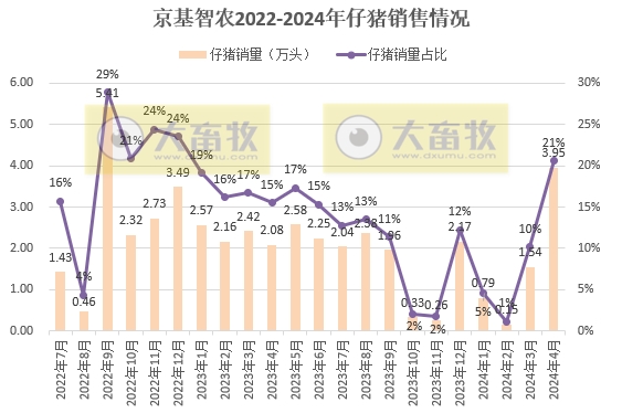 京基、神农和金新农2024年4月生猪销售情况