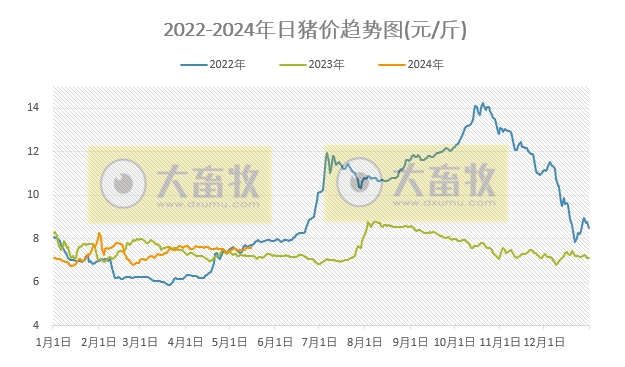 2024.05.16今日猪价——一路飘红