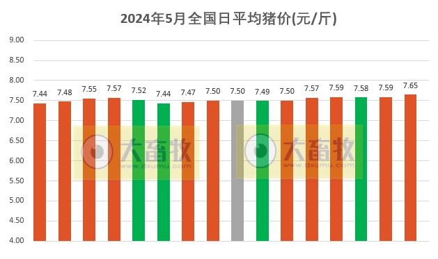 2024.05.16今日猪价——一路飘红