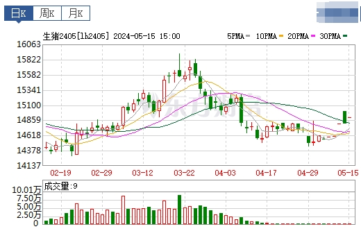 2024.05.16今日猪价——一路飘红