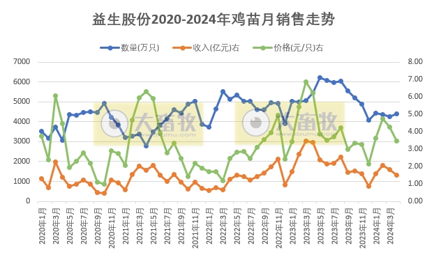 益生、民和和晓鸣2024年4月鸡苗销售情况